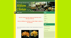 Desktop Screenshot of hiltonclivias.co.za