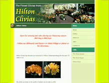 Tablet Screenshot of hiltonclivias.co.za